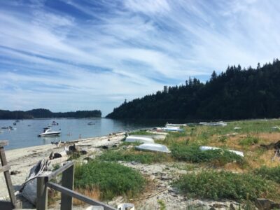 parksville cruise to thormanby island